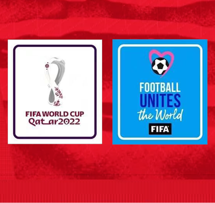 2022 Qatar World Cup France Home & Away Soccer Name Set